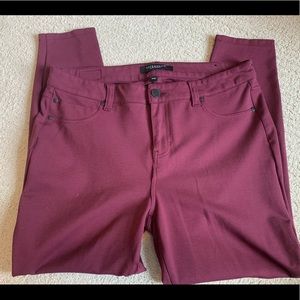 Liverpool Port Wine Stretch Knit Jeans